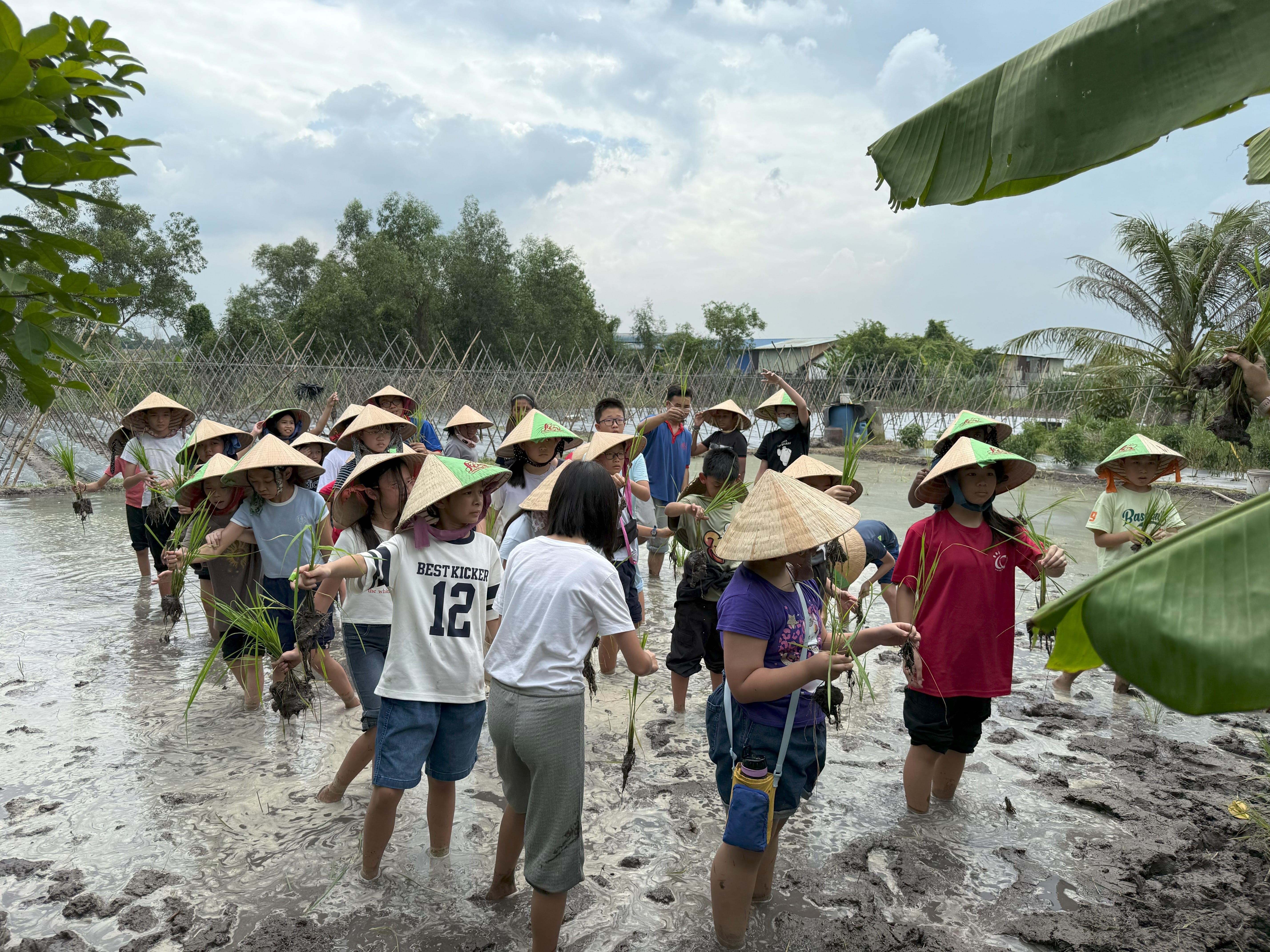 OLJ Vietnam 5